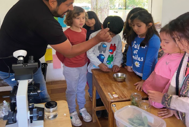 Trabajo en el huerto biodinámico.
